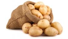 Potatoes on the balcony: why experts advise against it